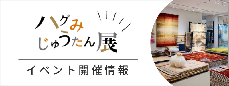 ハグみじゅうたん展　イベント開催情報