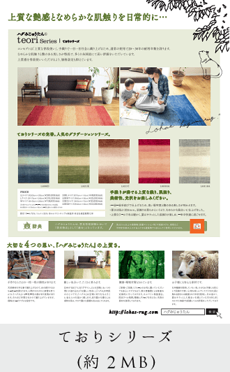 ハグみじゅうたんておりシリーズフライヤー