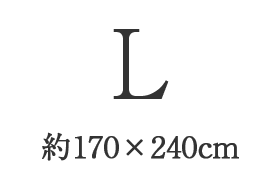 L（約170×240cm）