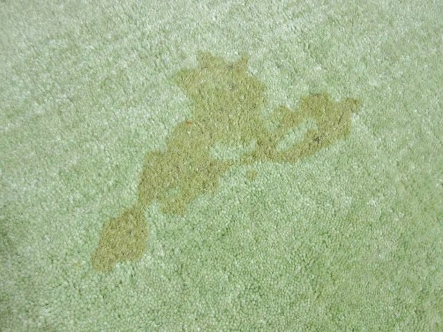 ウールラグについた猫の嘔吐物 吐くもの の汚れ落とし ウール絨毯の ハグみじゅうたん 自然素材 羊毛のラグ カーペット