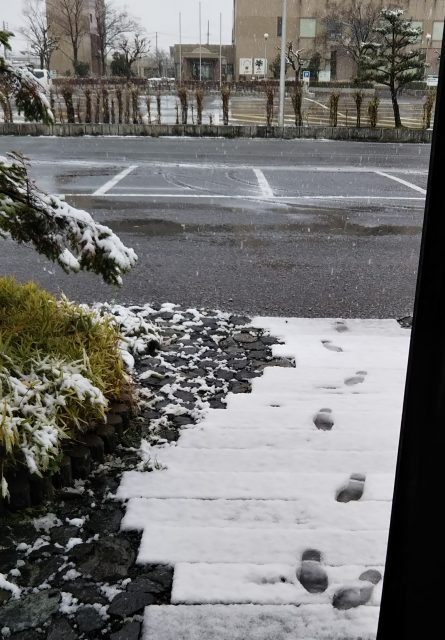新潟にも初雪