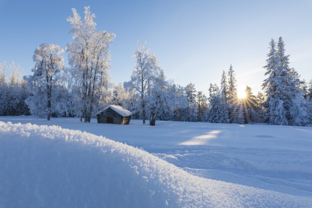北欧の冬景色