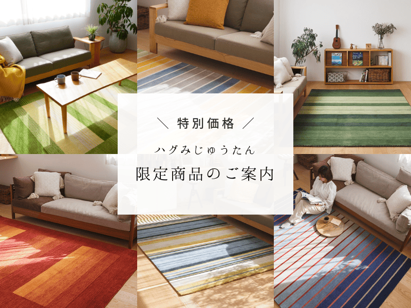 残りわずか！特別価格】暮らしを彩る♪ハグみじゅうたんてざわり