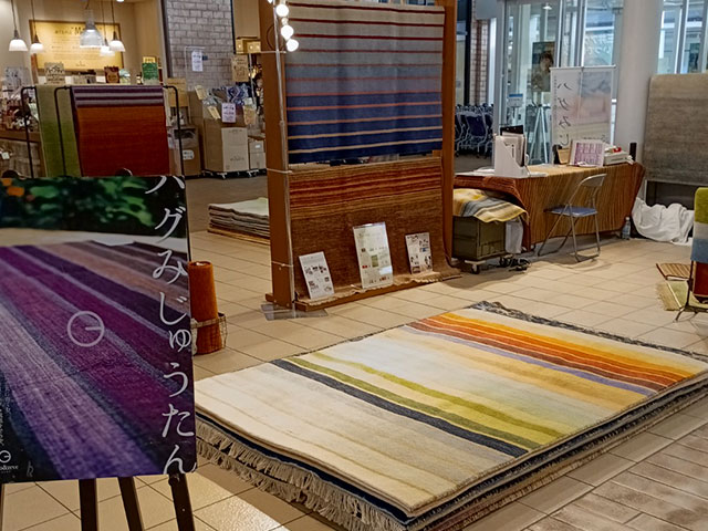 木更津アウトレットハグみじゅうたん展の様子2026年1月