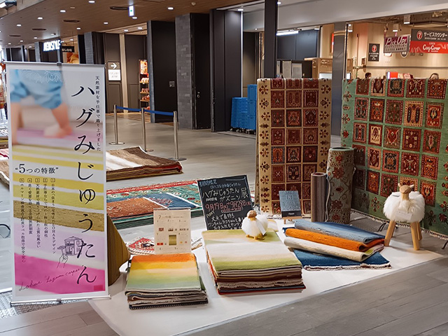 ハグみじゅうたん展2026年9月コースカベイサイドストアーズ様の様子