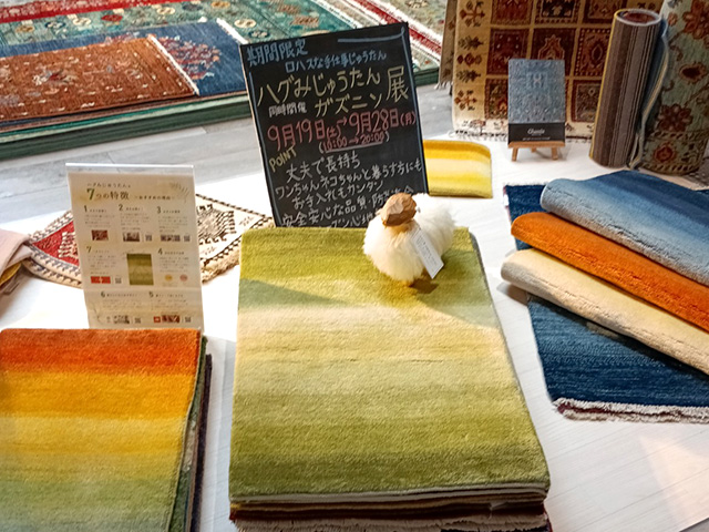 ハグみじゅうたん展2026年9月コースカベイサイドストアーズ様の様子